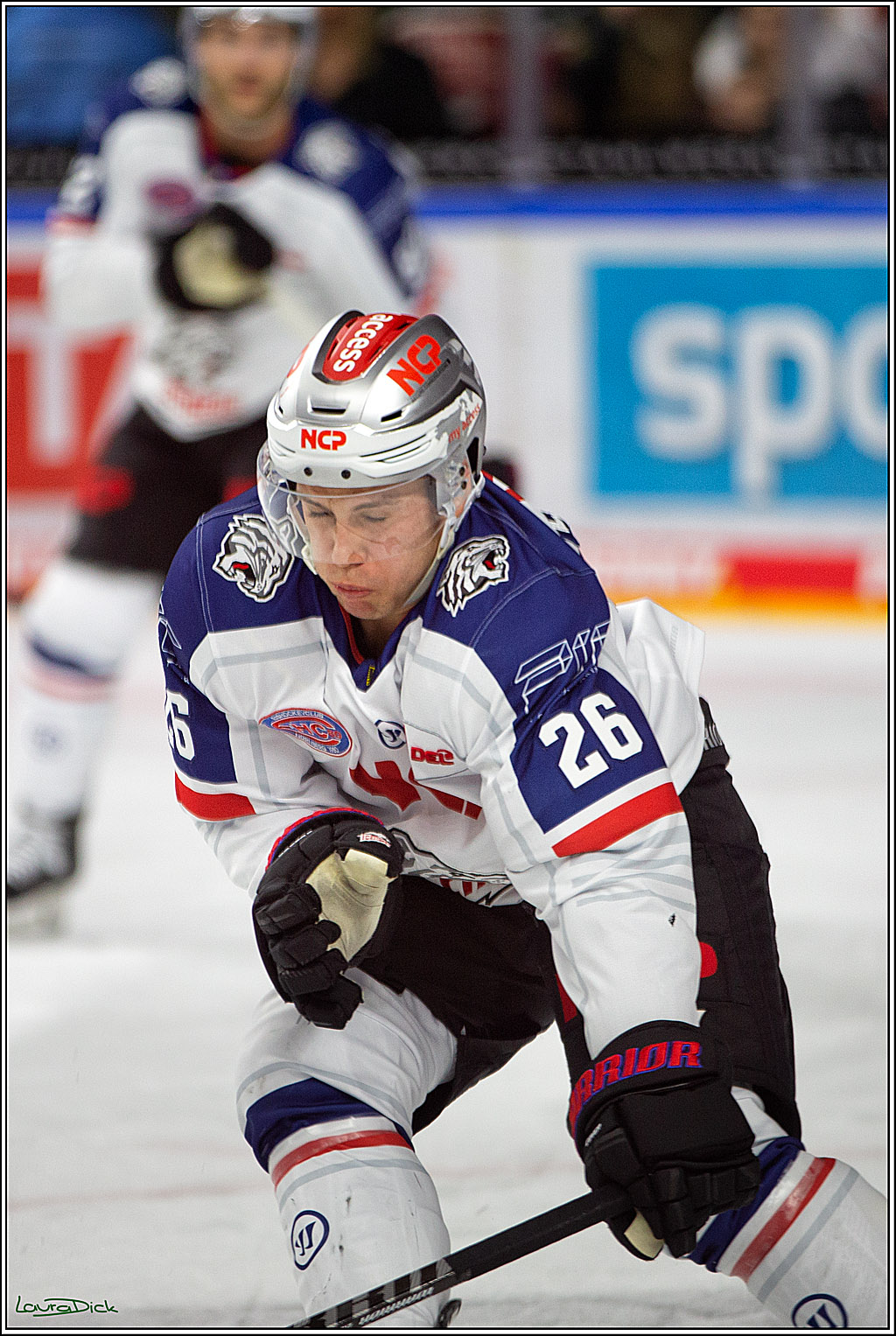 PENNY DEL; Koelner Haie- Nuernberger Ice Tigers; Koeln, 18.11.2022
